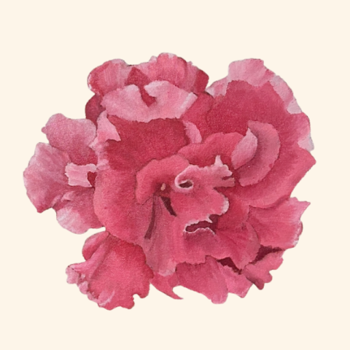 diario de una mexicana